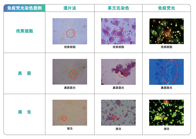 1669949373171302.jpg 1669008718207.jpg