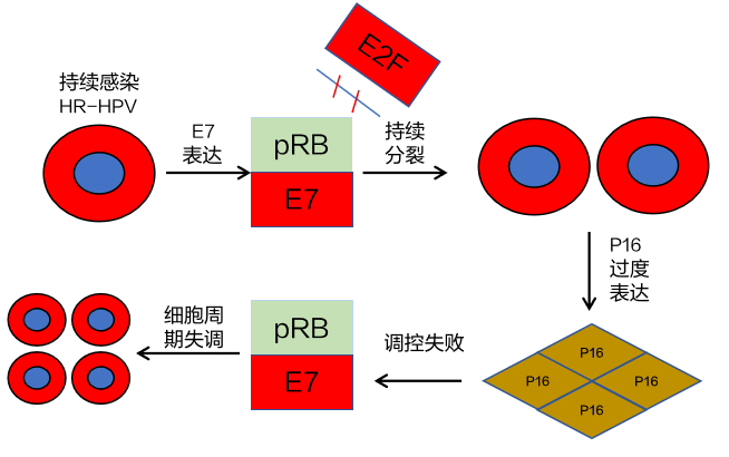 1730190326890405.png 4.png