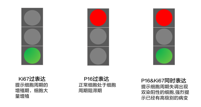 1730190406842889.png 5.png